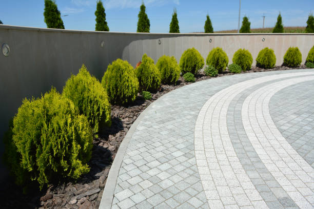 Reasons to Select Us for Your Driveway Paving Requirements in Quakertown, PA